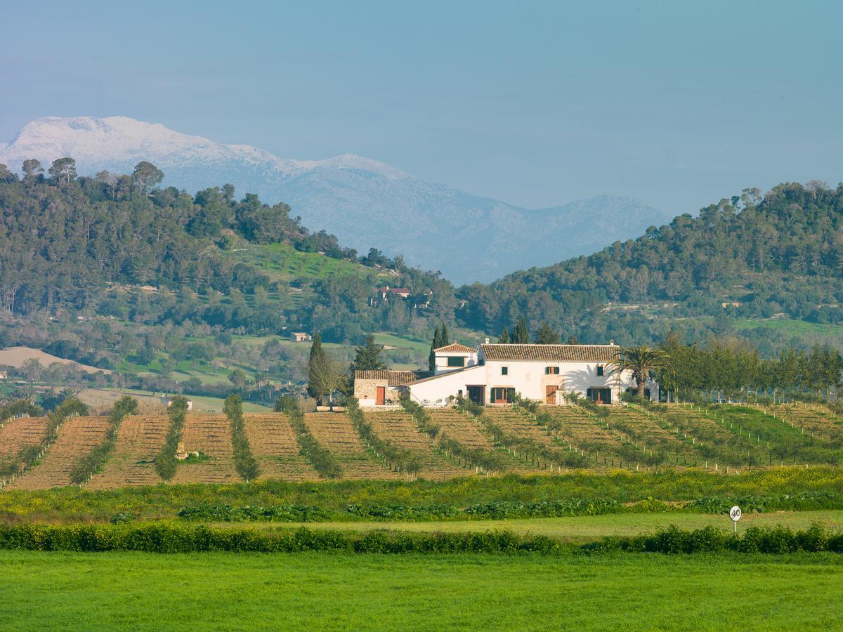 Agroturisme Gossalba Sant Joan Екстериор снимка